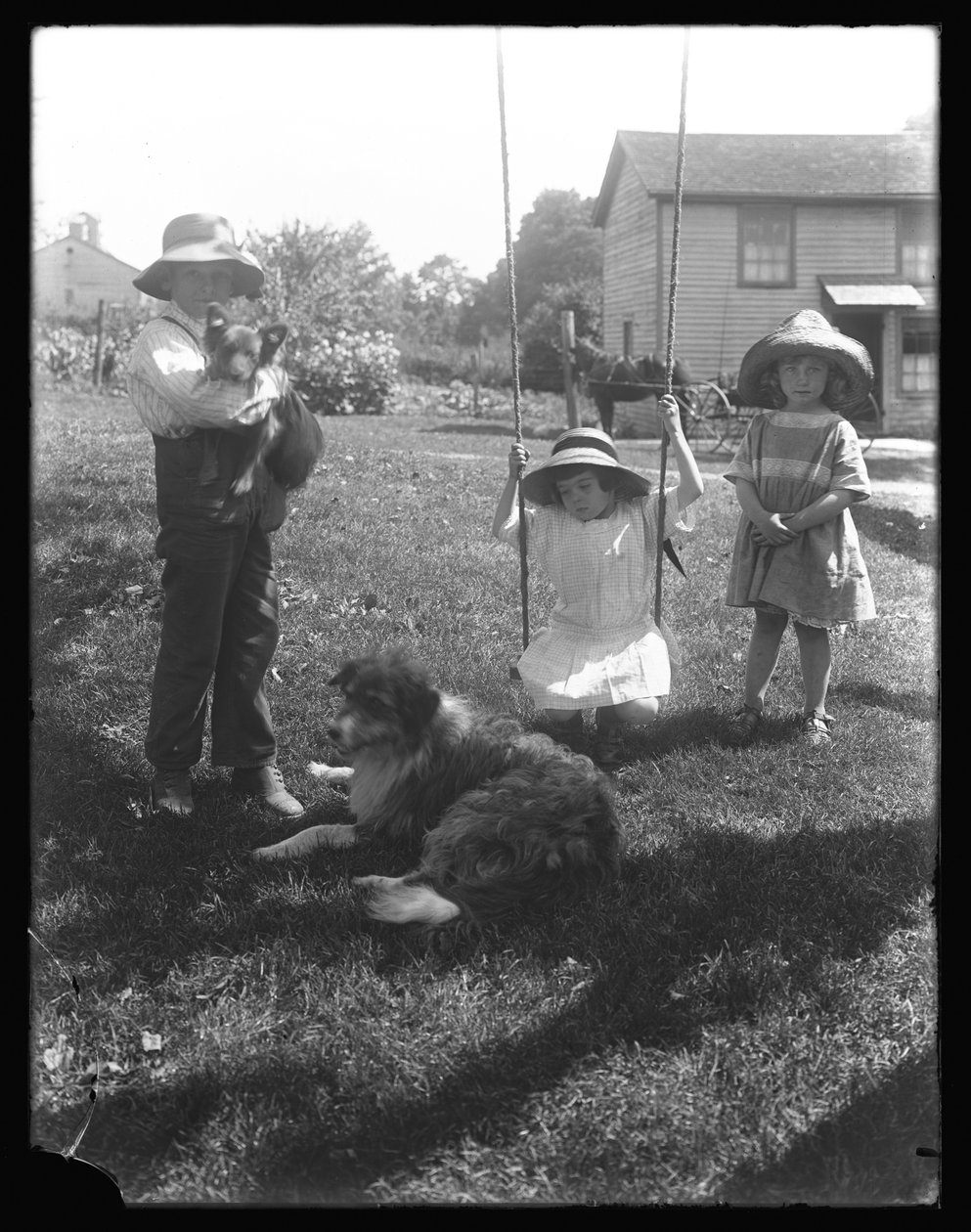 تجمع الأطفال مع كلب وجرو حول أرجوحة حبل في مزرعة ماكريدي ، بنسلفانيا ، حوالي عام 1913 بواسطة وليام ديفيس هاسلر