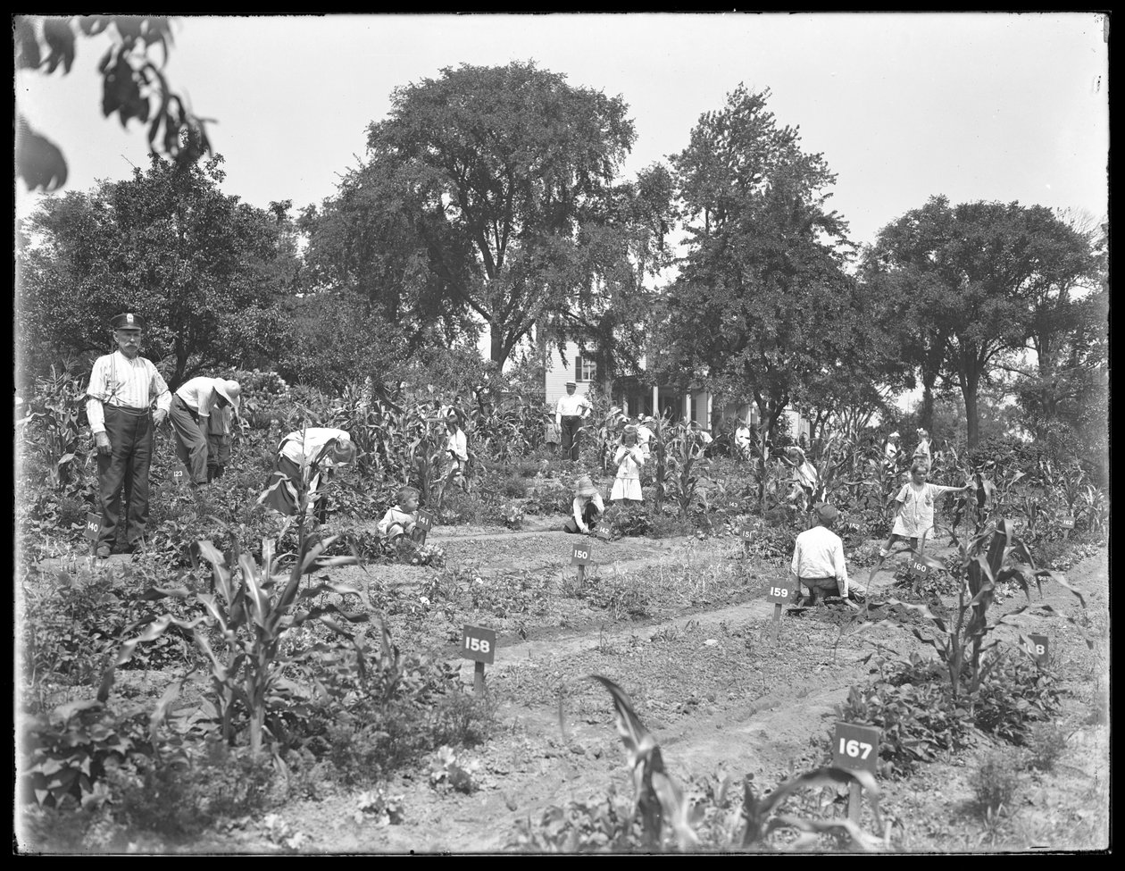 أطفال يعملون في حديقة مدرسة Isham Park ، مدينة نيويورك ، 16 أغسطس 1915 بواسطة وليام ديفيس هاسلر