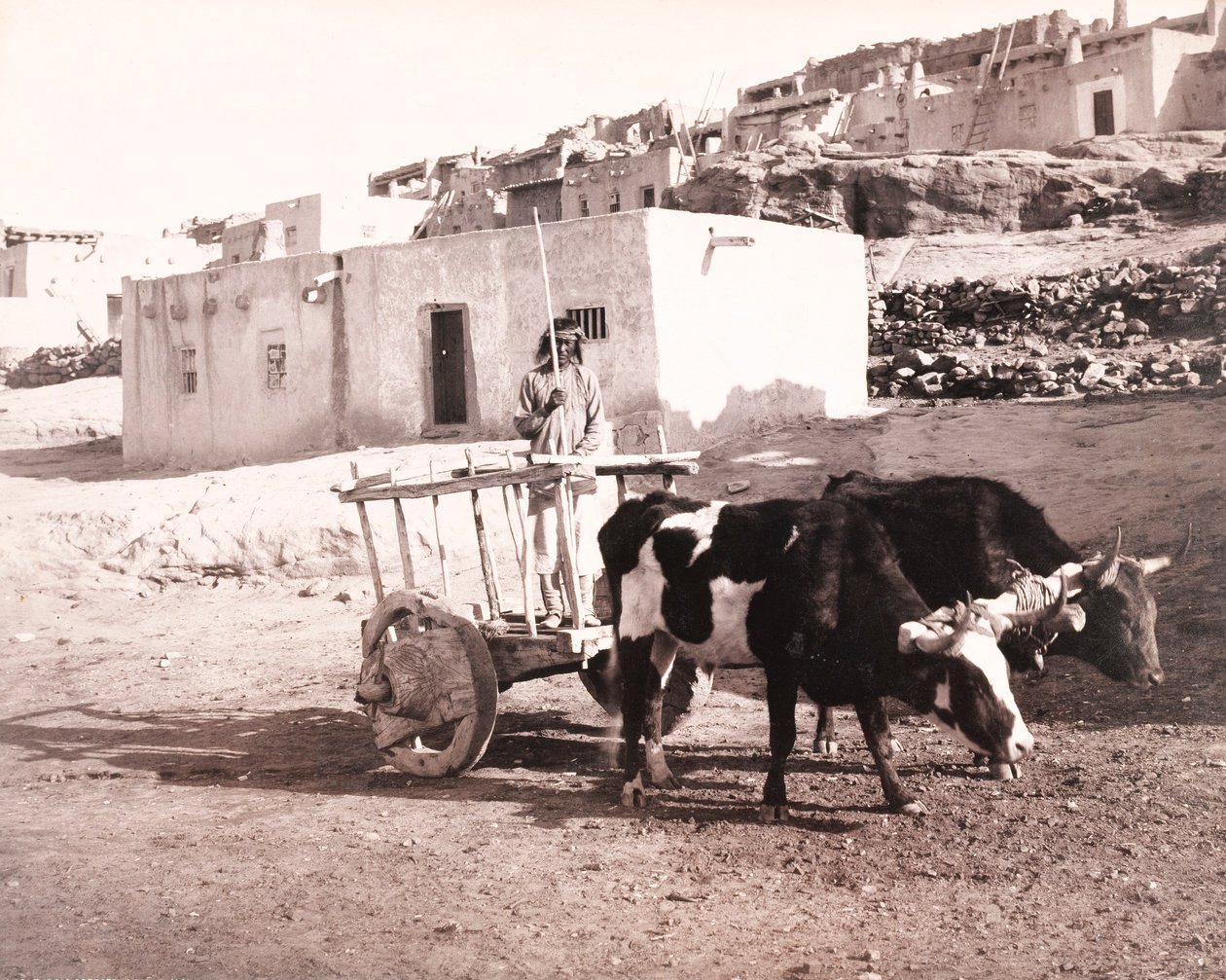  بواسطة وليام إتش جاكسون