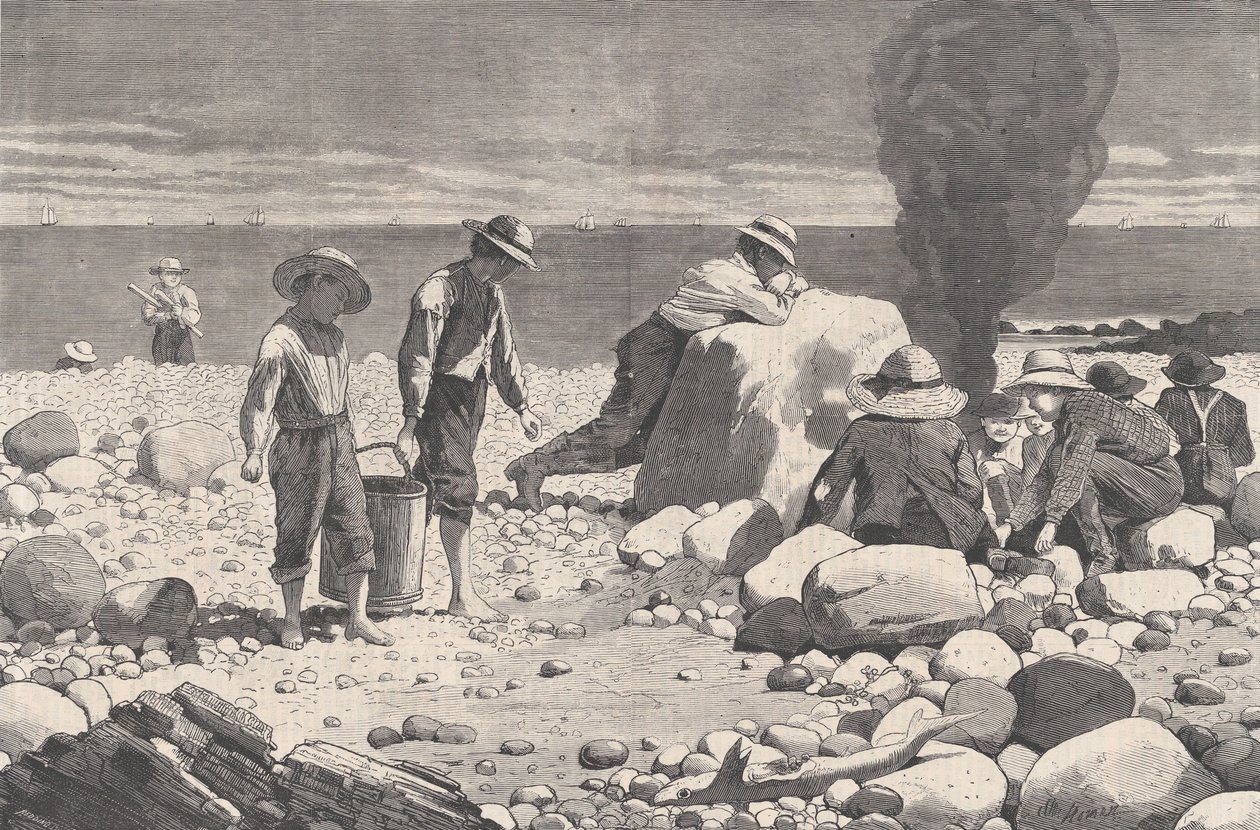 اسكتشات جانب البحر - A Clam-Bake Harper's Weekly ، Vol. السابع عشر ، 23 أغسطس 1873. بواسطة وليام هـ