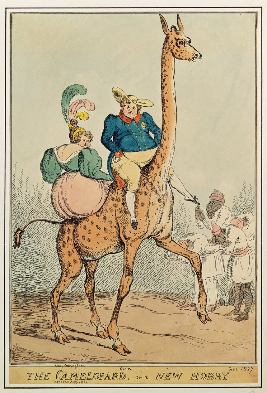 Camelopard ، أو هواية جديدة ، 1827 (نقش الألوان) بواسطة وليام هيث