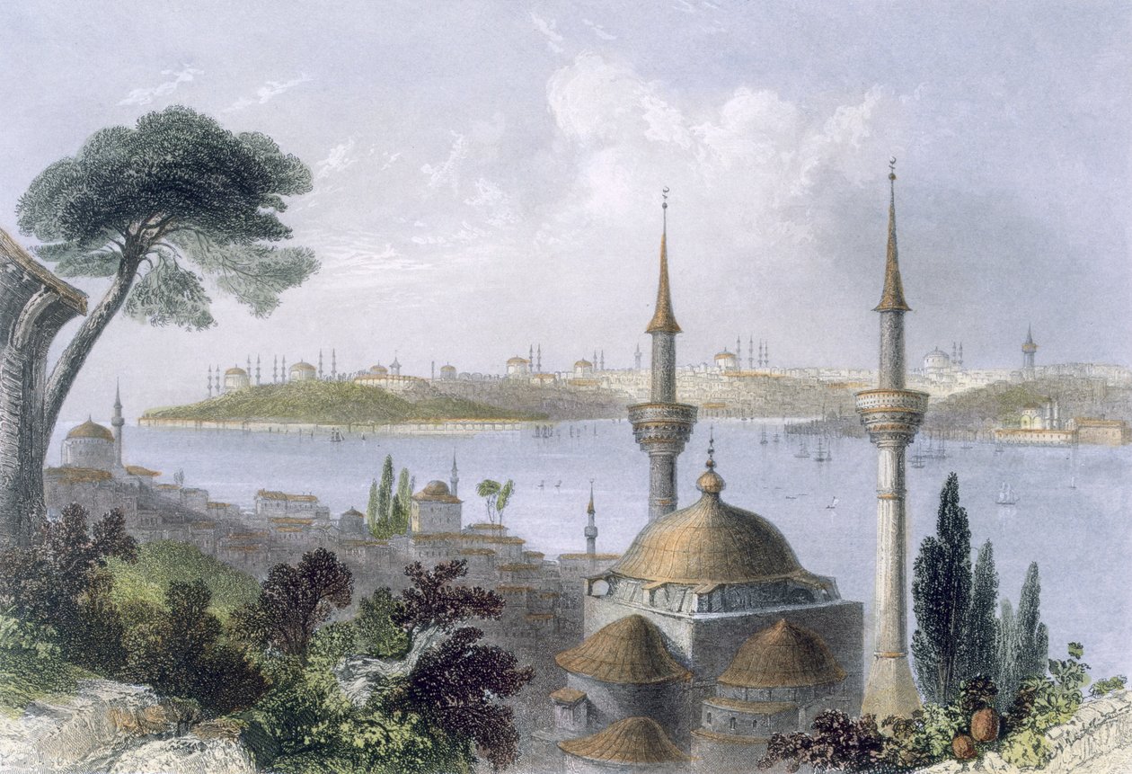 منظر عام للقسطنطينية من سكوتاري ، c.1850 (ألوان مائية) بواسطة وليام هنري بارتليت