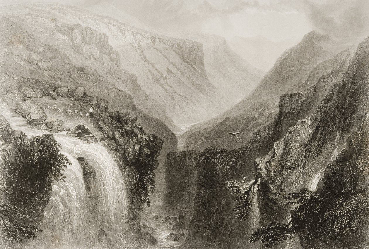 رئيس غلينمالور ، مقاطعة ويكلو ، من "مشهد وآثار أيرلندا" لجورج فيرت ، 1860 بواسطة وليام هنري بارتليت