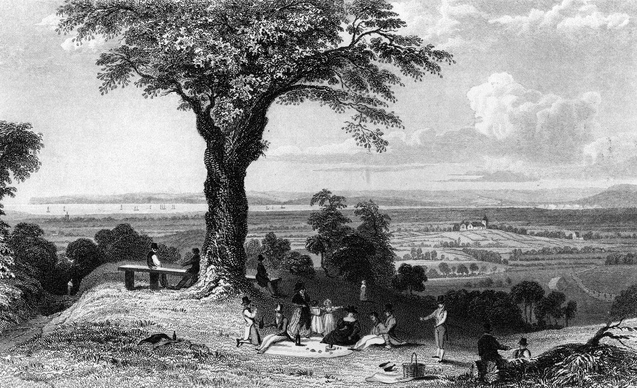 مشهد من Laindon Hill ، بالقرب من Horndon ، Essex ، محفور بواسطة Henry Wallis ، 1832 بواسطة وليام هنري بارتليت