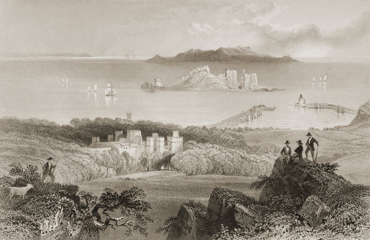 منظر لقلعة Howth ، مقاطعة دبلن ، أيرلندا ، من "مشهد وآثار أيرلندا" لجورج Virtue ، 1860s بواسطة وليام هنري بارتليت