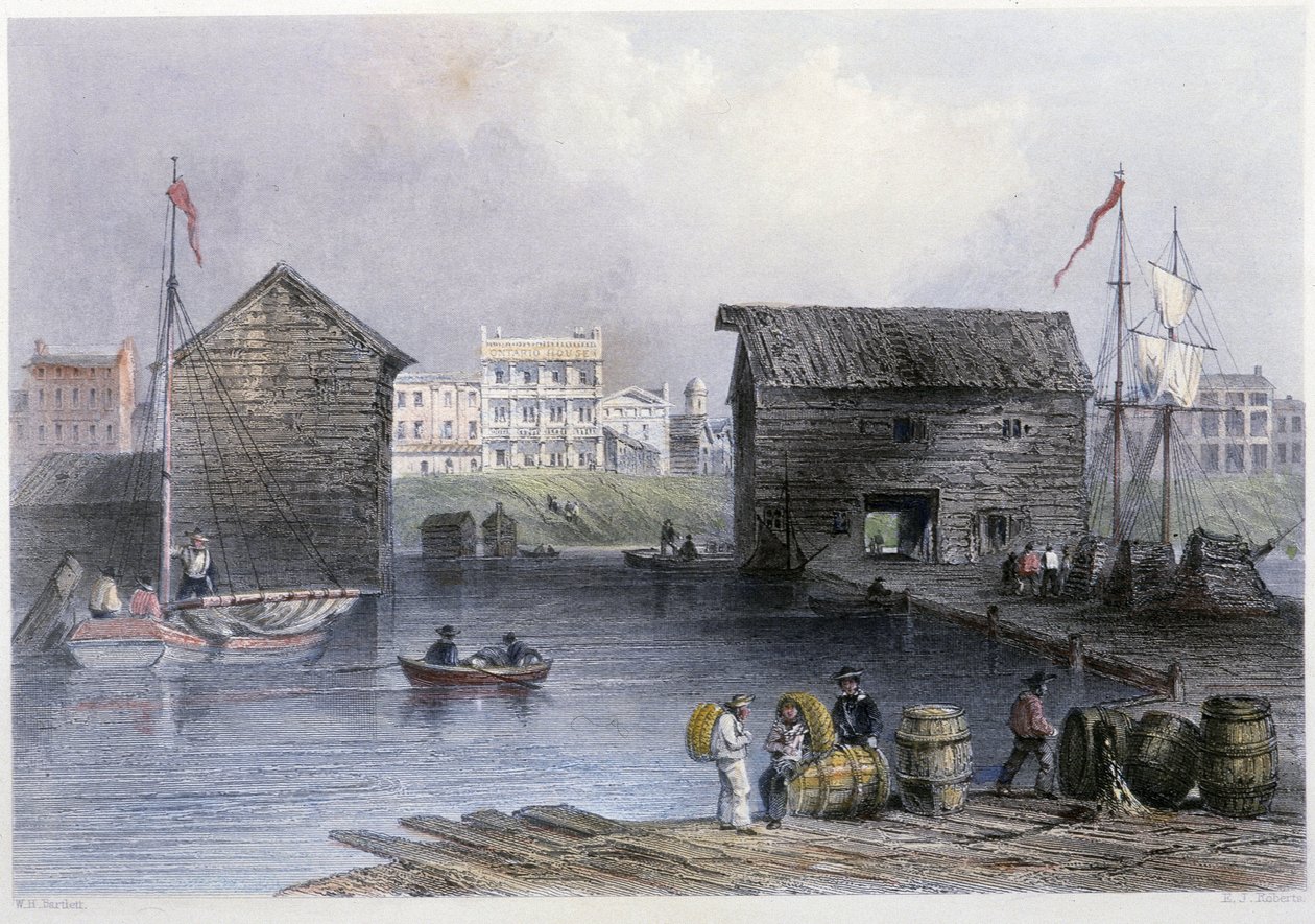 View of the Toronto Docks - in “” Canadian scenery illustrated”” by Bartlett W. H. بواسطة وليام هنري بارتليت