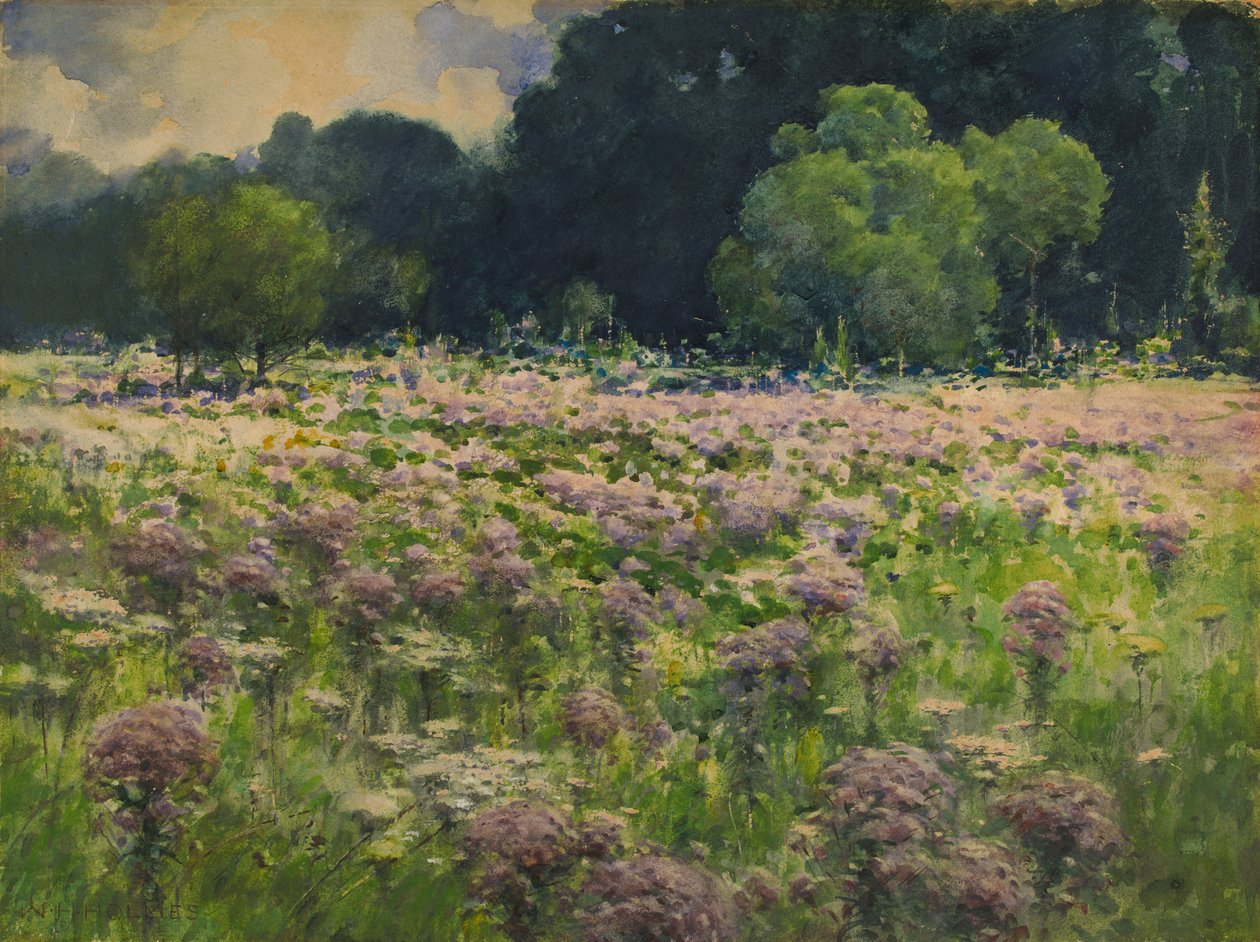 حقل جو فطيرة الأعشاب Pride of the Meadow ، nd بواسطة وليام هنري هولمز