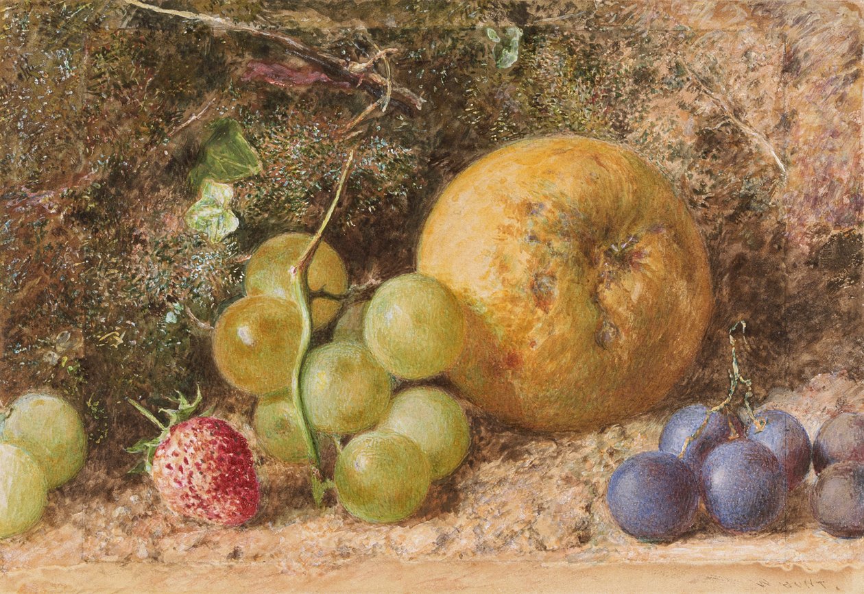 "قطعة فاكهة" ، c1855 بواسطة وليام هنري هنت
