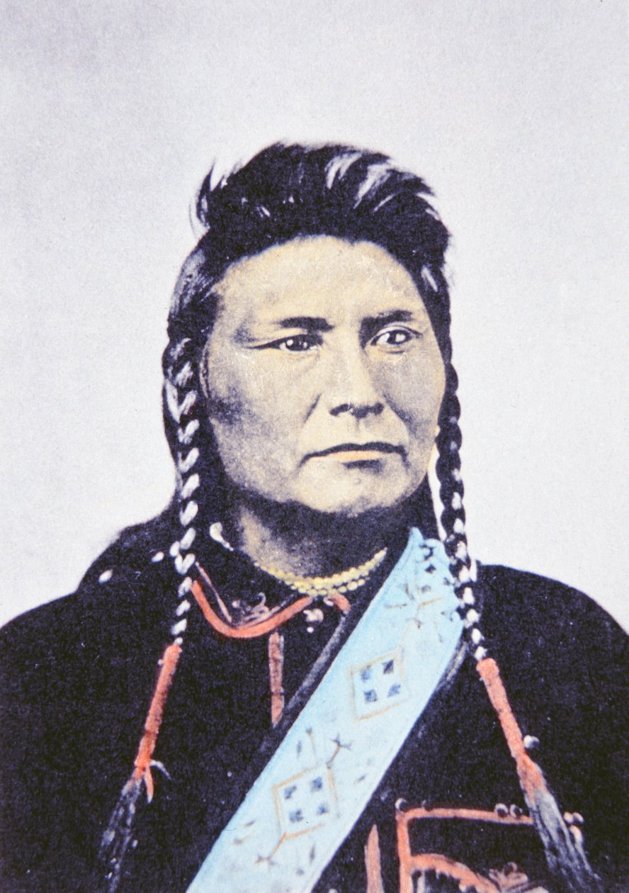 الزعيم جوزيف (1840-1904) 1878 (صورة) بواسطة وليام هنري جاكسون