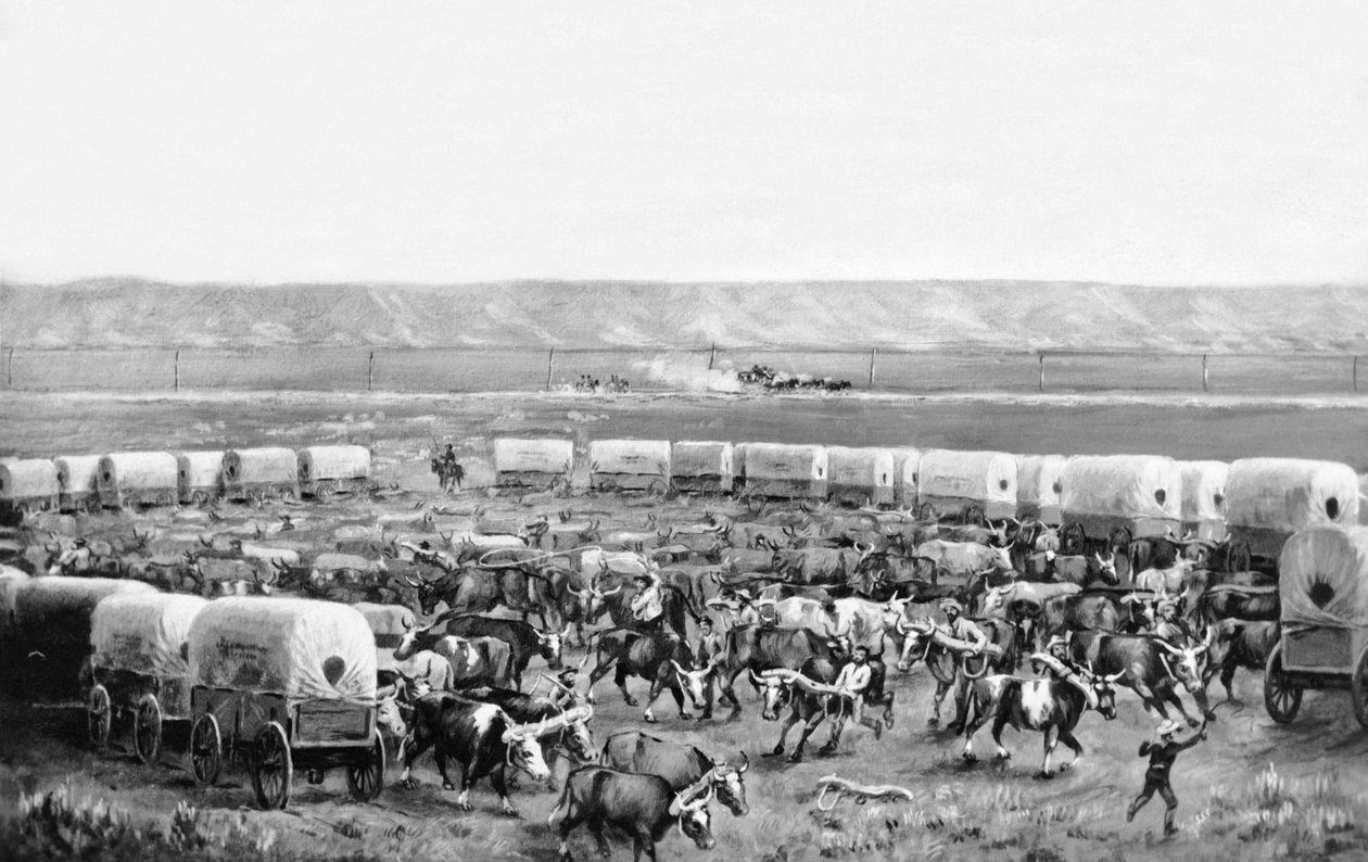 الثيران يجري مقيدًا في زريبة من العربات المغطاة في لوحة رسمها دبليو إتش جاكسون ، سكوتس بلاف ، نبراسكا: ج. 1875 بواسطة وليام هنري جاكسون