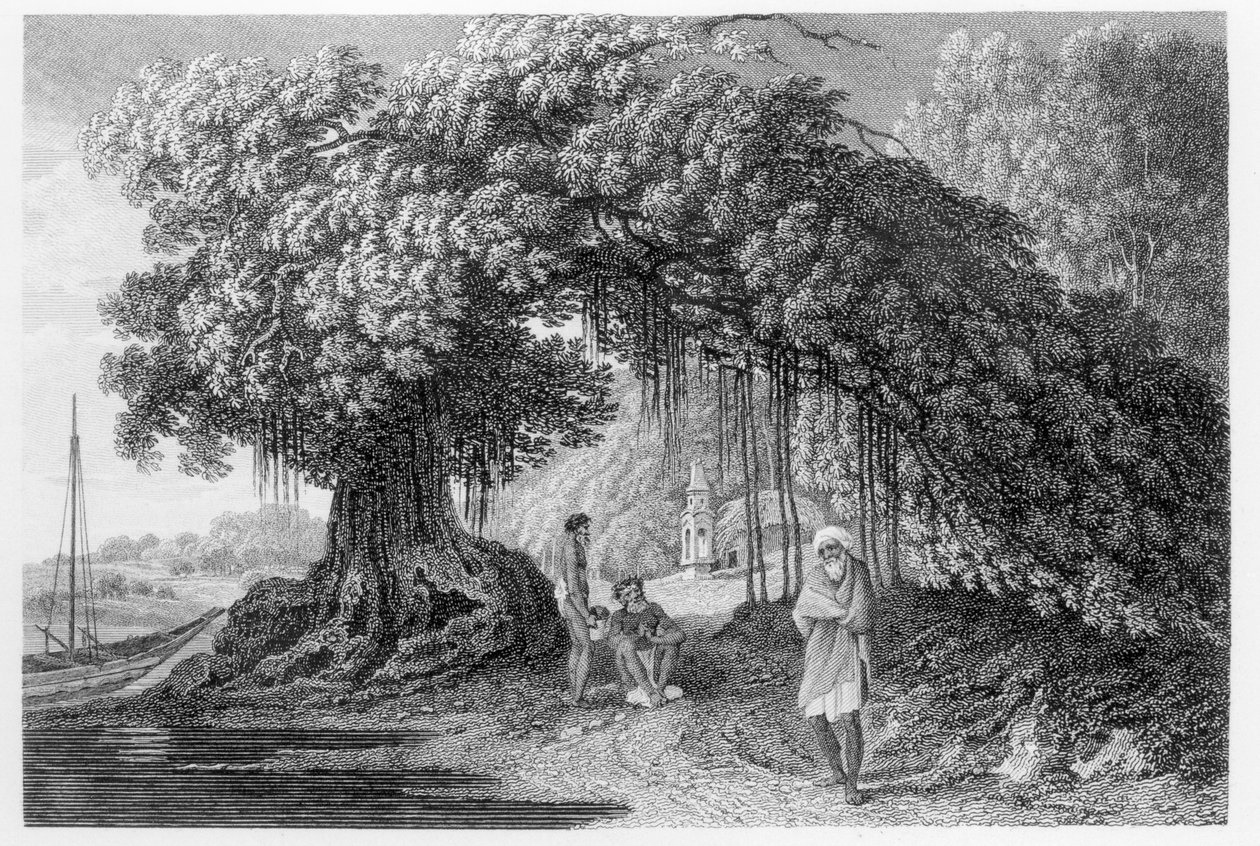 A Banyan Tree ، من "رحلات في الهند في السنوات 1780-1783" بقلم ويليام هودجز ، نقشها بنيامين بونسي (fl.1772-99) نشر 1792 بواسطة وليام هودجز