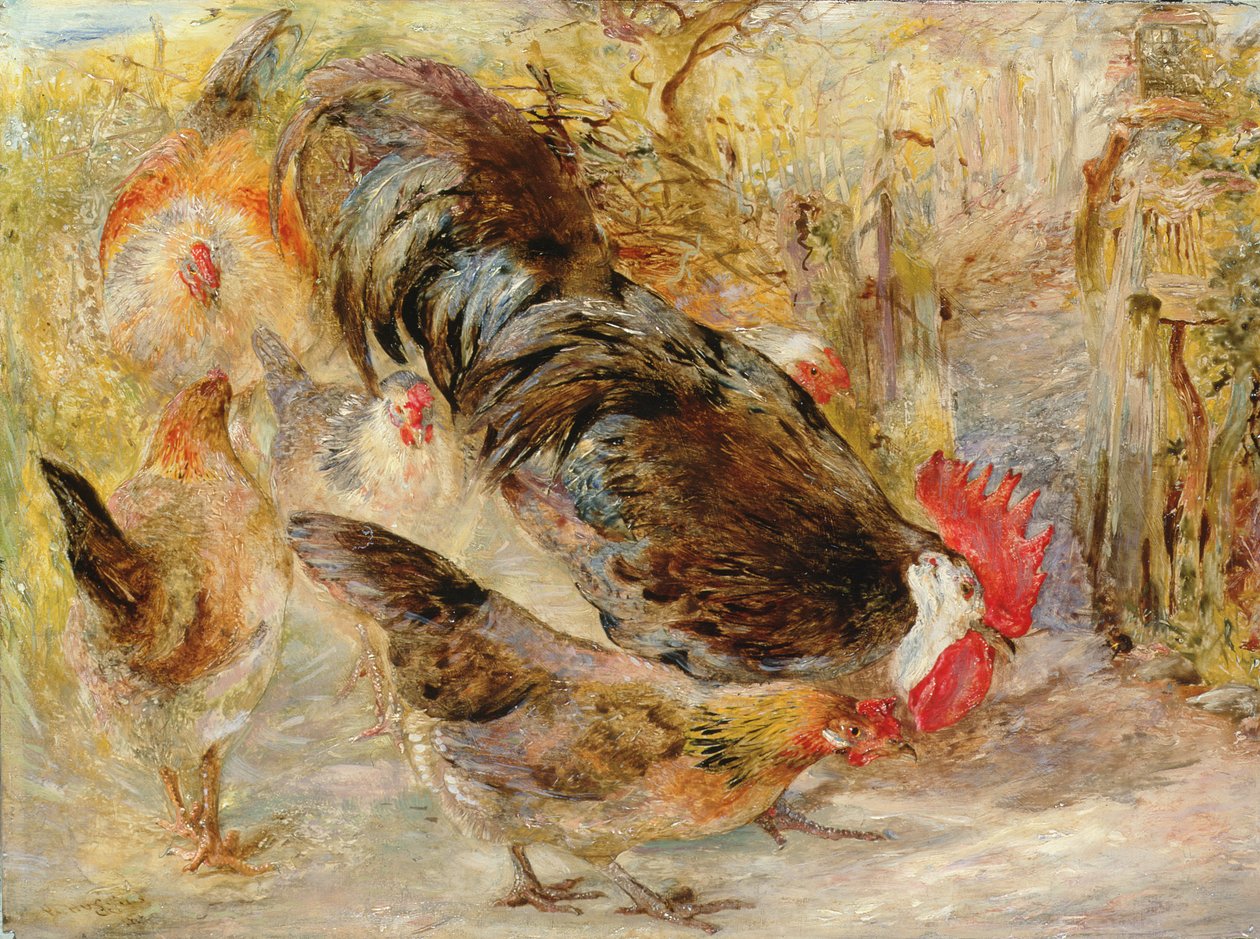 طائر باب الحظيرة (رود آيلاند ريدز) ، 1860 بواسطة وليام هوجينز