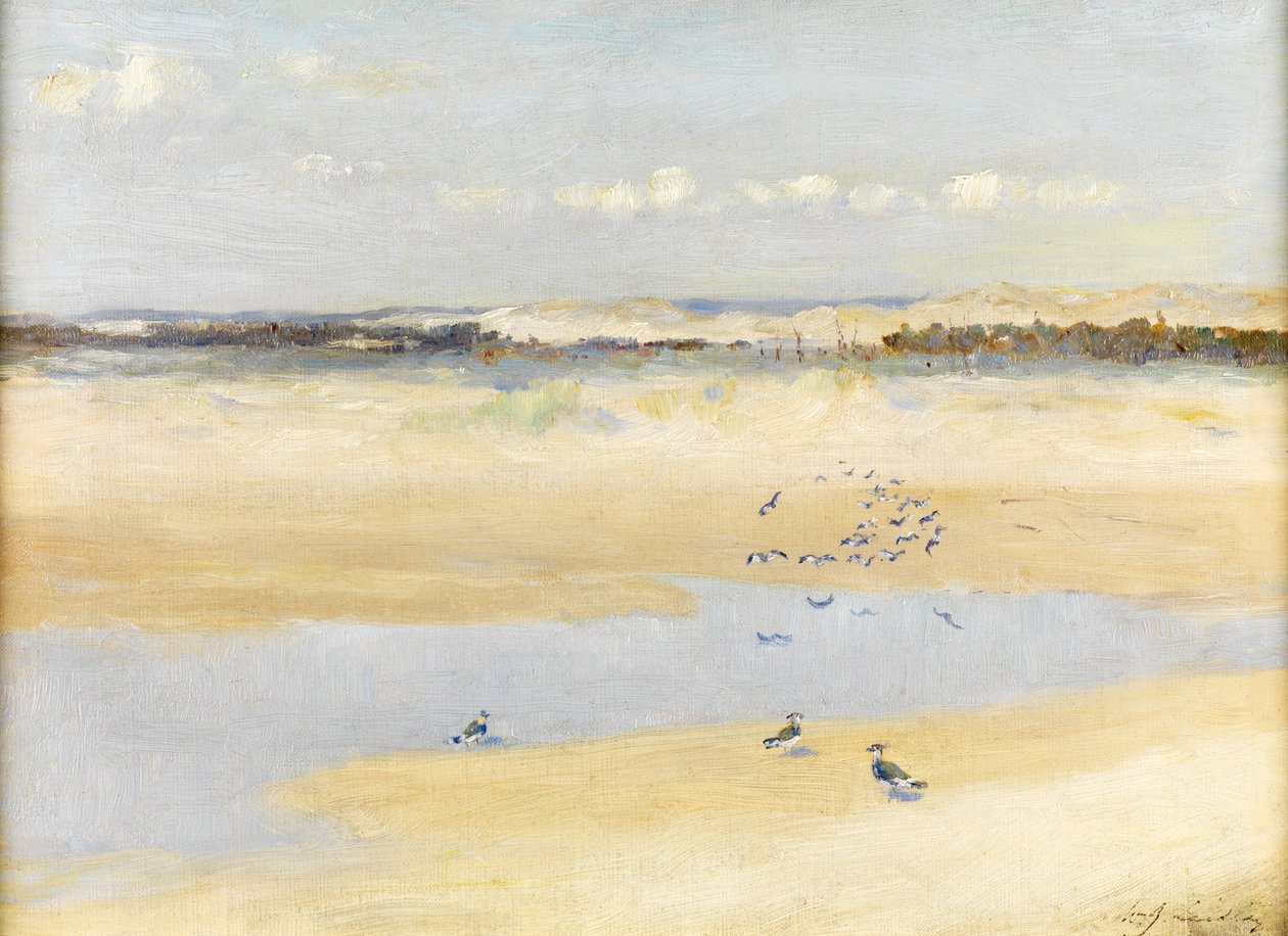 Lapwings عن طريق البحر بواسطة وليام جيمس ليدلاي