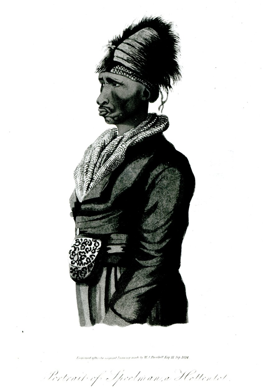صورة لـ Speelman ، وهو Hottentot ، 1814 بواسطة وليام جون بورشيل