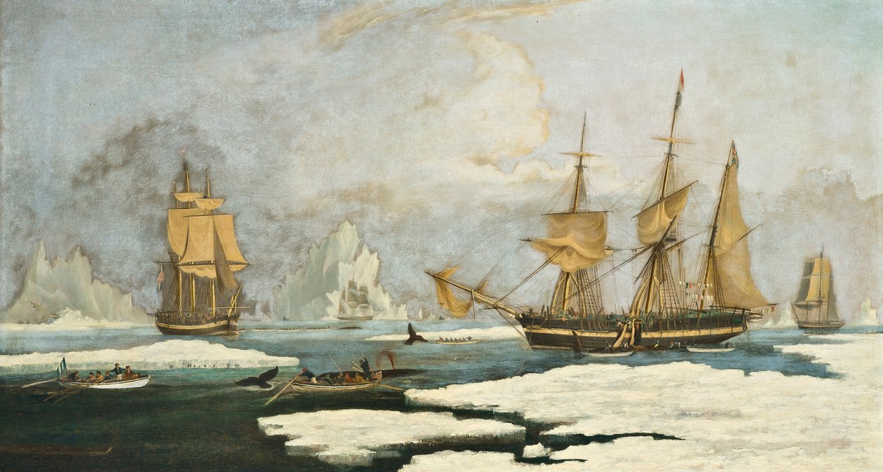 مصايد الحوت الشمالي: سفينة Harmony of Hull وغيرها من صائدي الحيتان المقيدين بالجليد ، وصيد الفقمة ، و Narwhals ، والحيتان على أرض صيد الحيتان في مضيق ديفيس قبالة جرينلاند بواسطة وليام جون هوجينز
