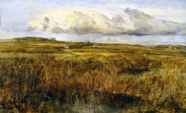 Rhoscolyn ، Anglesey (زيت على ظهر السفينة) بواسطة وليام جوزيف JC Bond