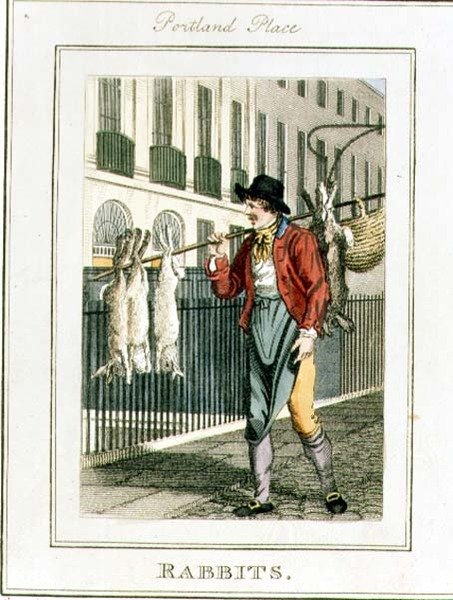 الأرانب ، بورتلاند بليس ، من "صرخات لندن" ، حانة. بقلم ريتشارد فيليبس (1778-1851) 1804 (نقش) بواسطة وليام مارشال كريج
