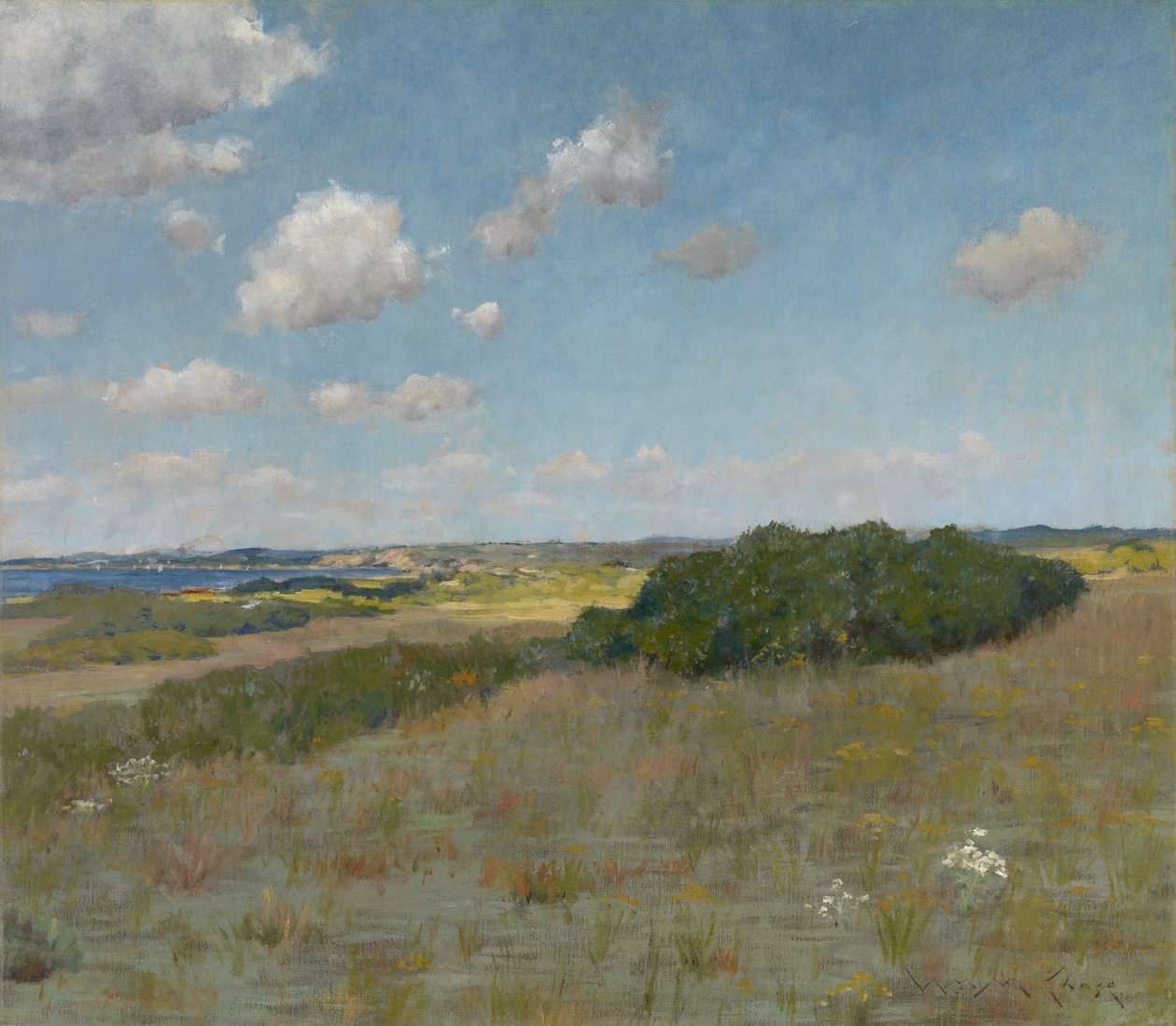 Sunlight and Shadow، Shinnecock Hills، c.1895 (زيت على قماش) بواسطة وليام ميريت تشيس