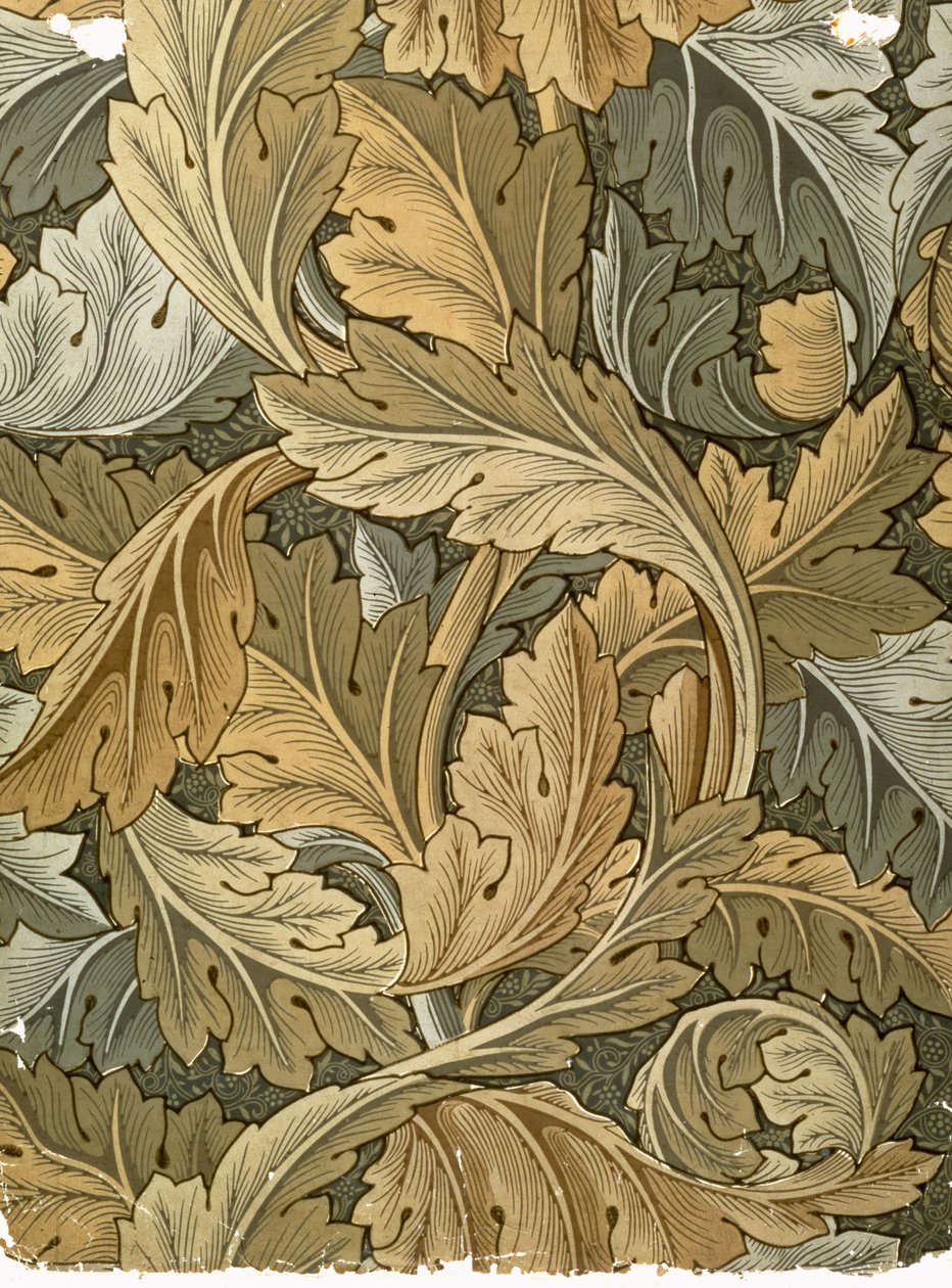 خلفية Acanthus ، التي صممها ويليام موريس (1834-1896) ، 1875 بواسطة وليام موريس