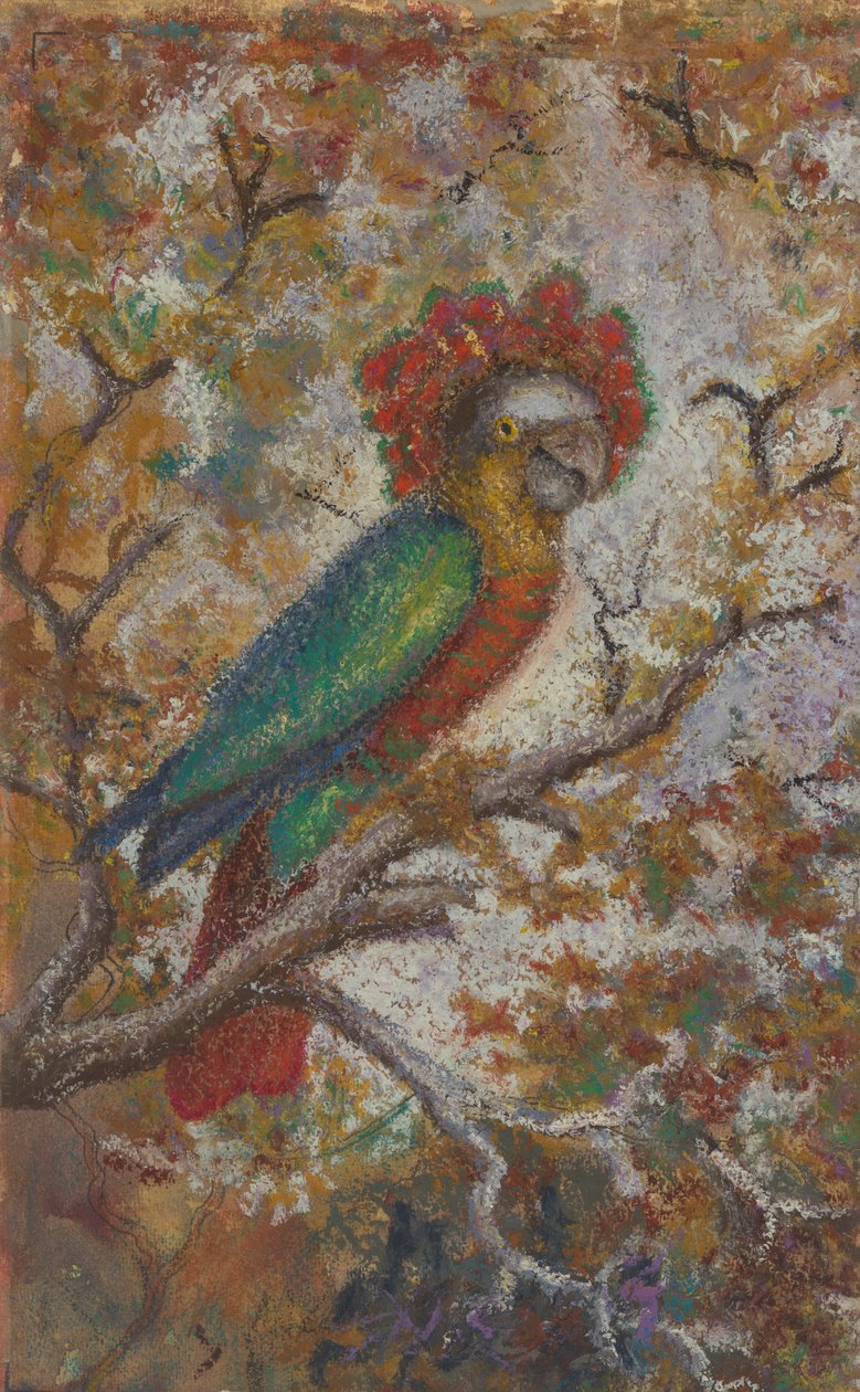 ببغاء ، 1909. بواسطة وليام ن.باكنر