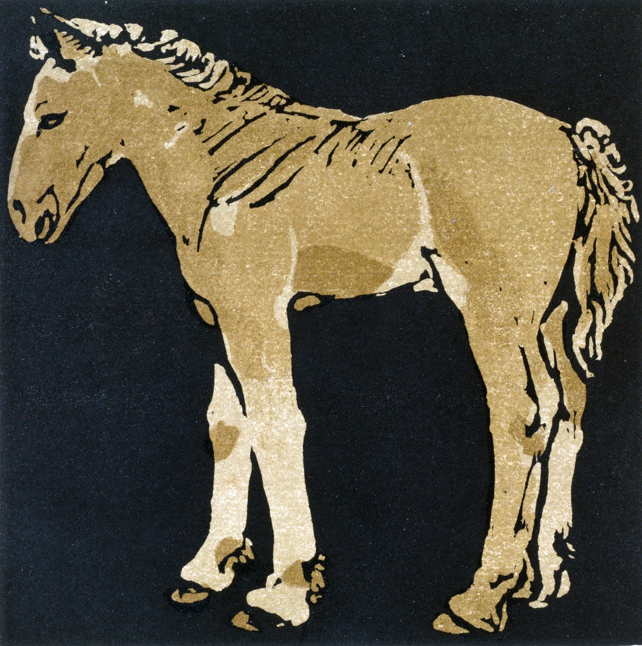 The Growing Colt ، من "The Square Book of Animals" الذي نشره William Heinemann بواسطة وليام نيكلسون