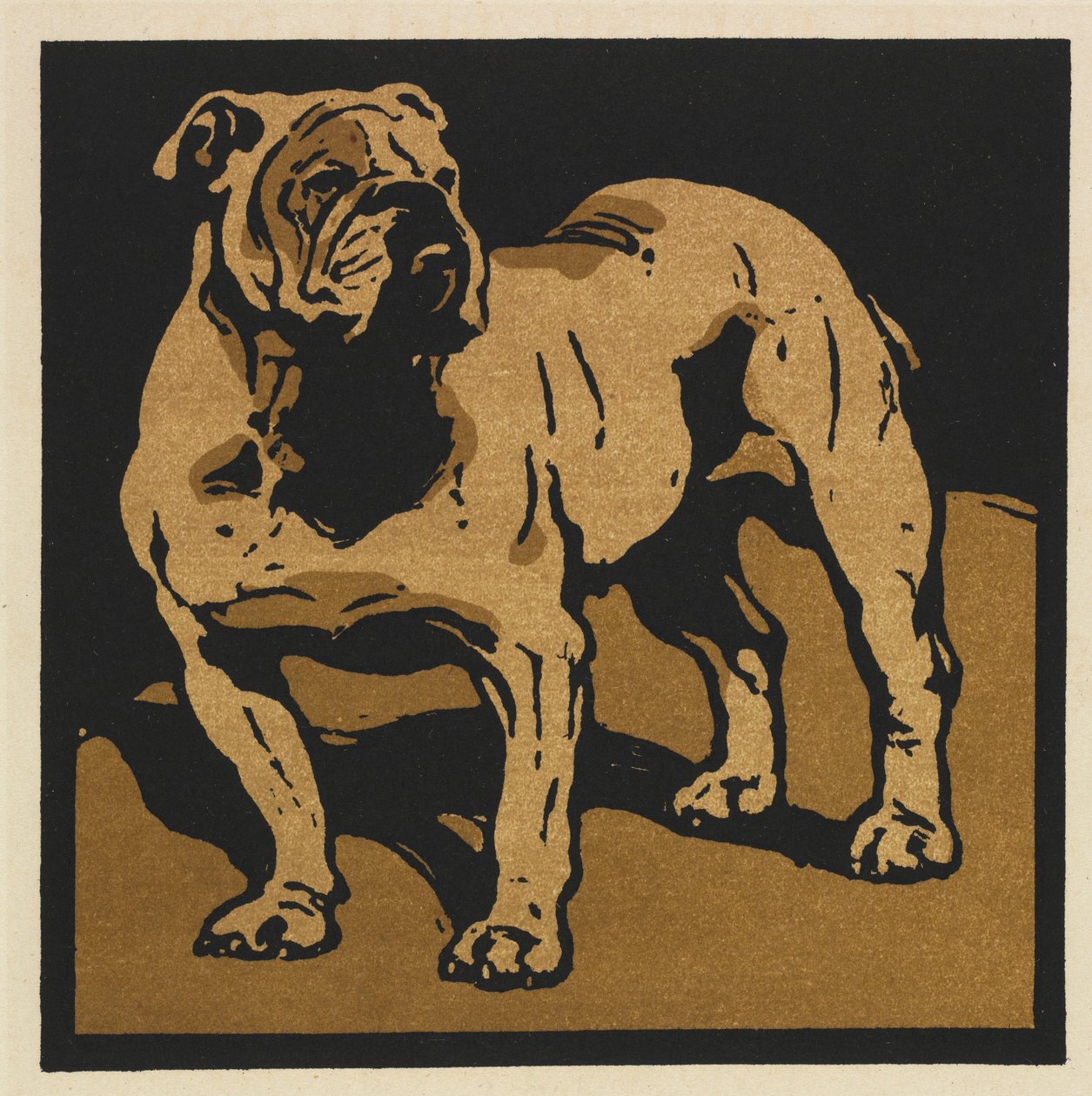كتاب الحيوانات المربعة: The Bull-Dog البريطاني بواسطة وليام نيكلسون