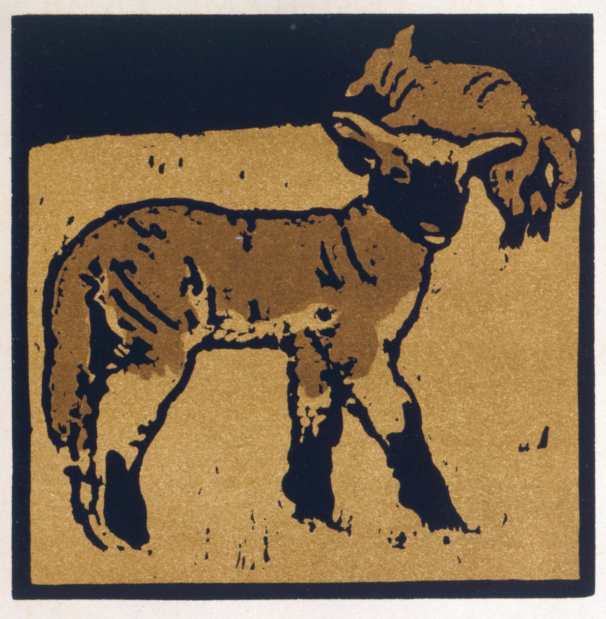 The Very Tame Lamb ، من "The Square Book of Animals" ، الذي نشره William Heinemann بواسطة وليام نيكلسون