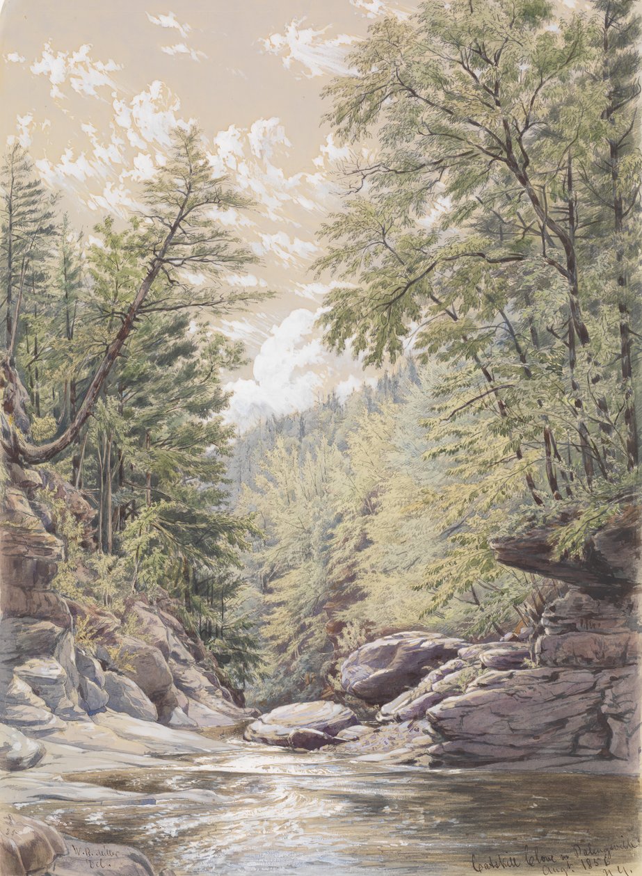 Catskill Clove in Palingsville ، 1856. بواسطة وليام ريكاربي ميللر