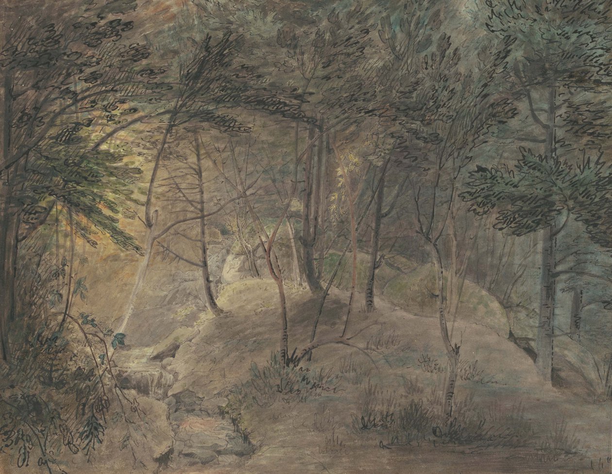 The View from the Springhouse at Echo، c.1808 (ألوان مائية وحبر على ورق منسوج) بواسطة وليام راسل بيرش