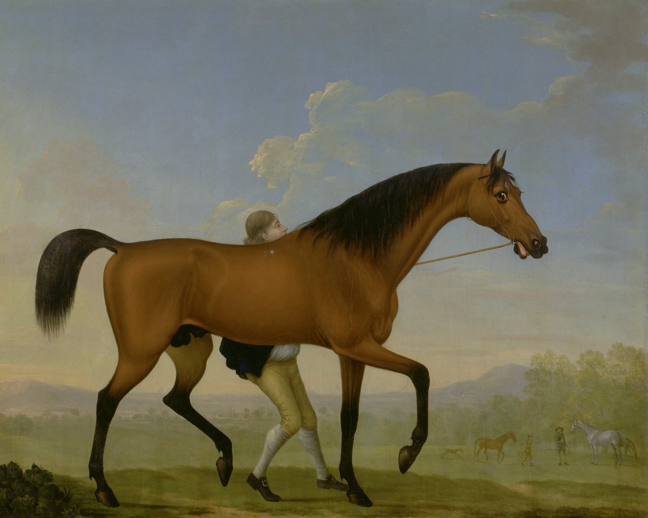 دوق Ancasters Bay Stallion ، Blank ، يمشي نحو Mare بواسطة وليام شو