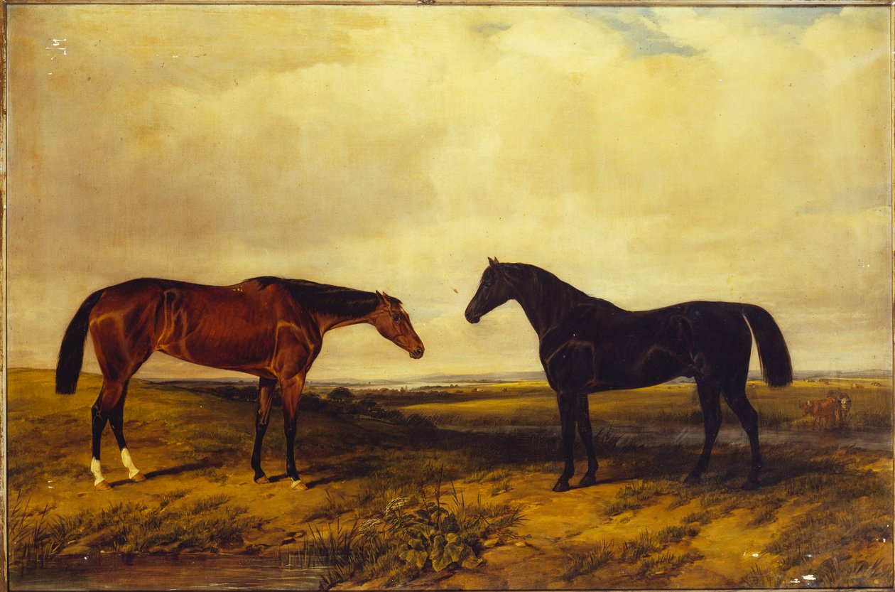 إيرل غرانارد &39;s خليج مشرق مهرة وخليج الظلام الفحل ، 1885 بواسطة وليام سنر. لوكر