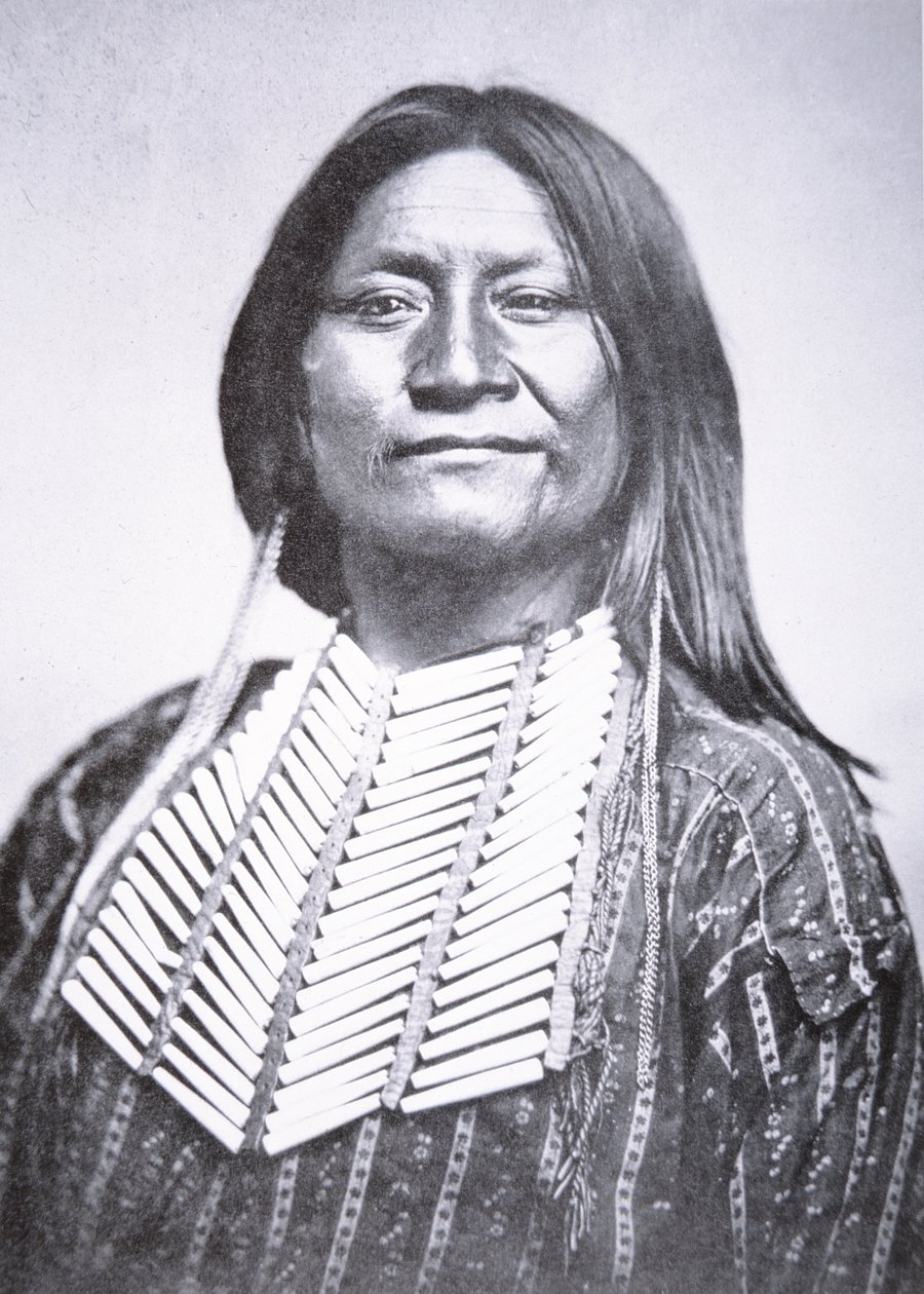 Comanche Tribesman بواسطة وليام سولي