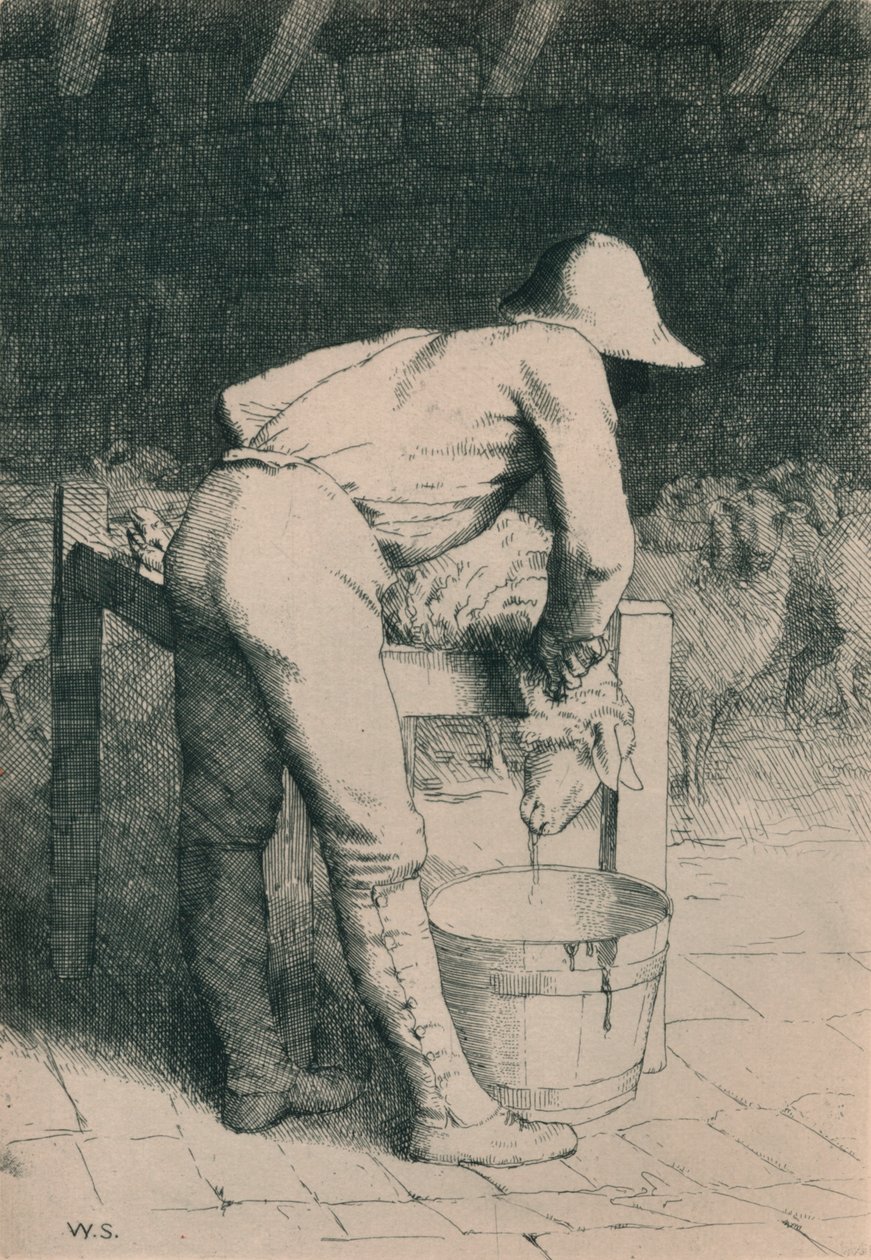 الجزار والأغنام ، c1916 بواسطة وليام ستراند