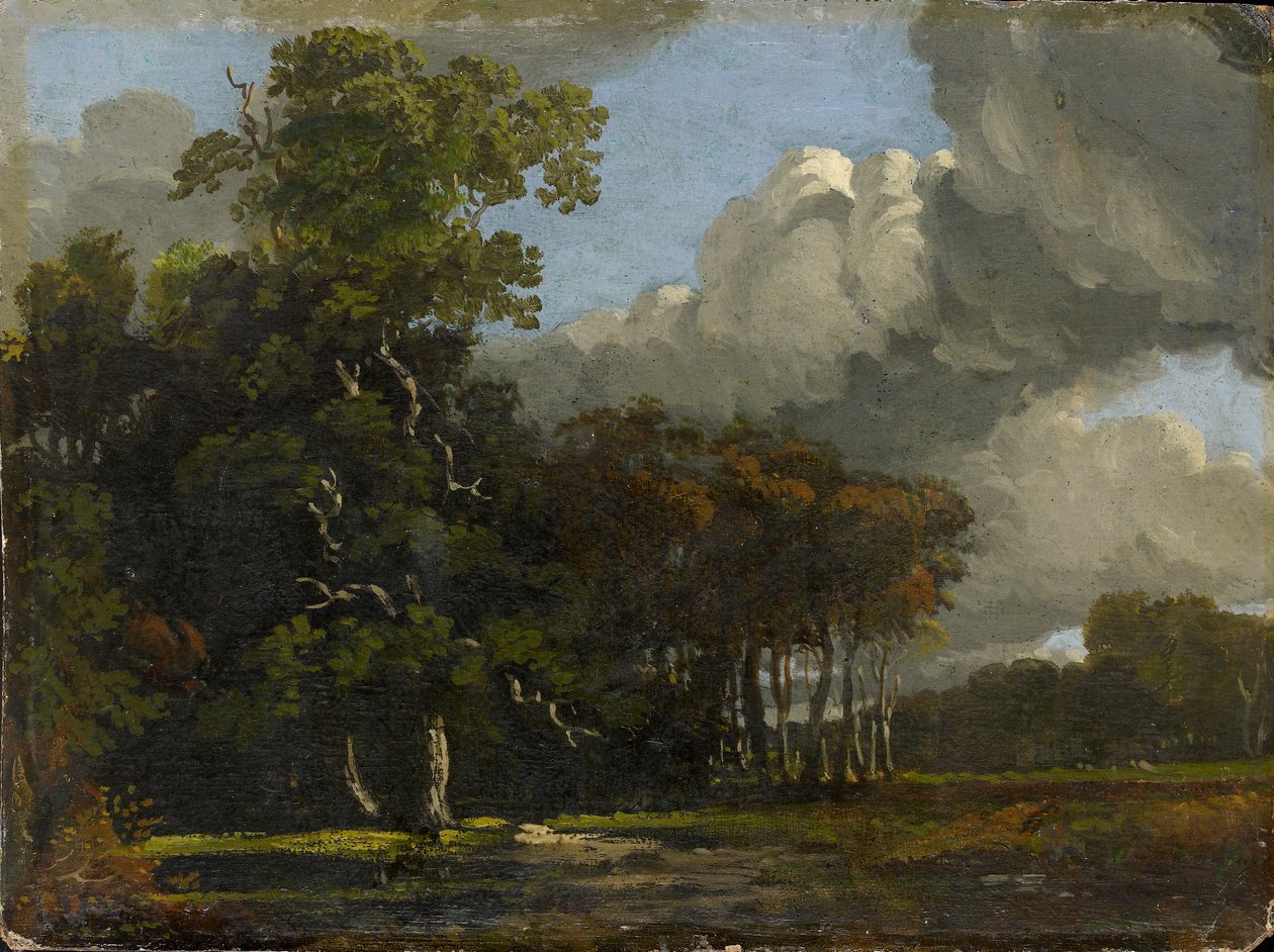 المناظر الطبيعية للغابات ، c1816-1820 بواسطة جوزيف مالورد وليام تورنر