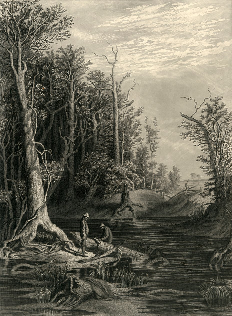 "The Chickahominy" ، ١٨٧٢. بواسطة وليام ويلستود