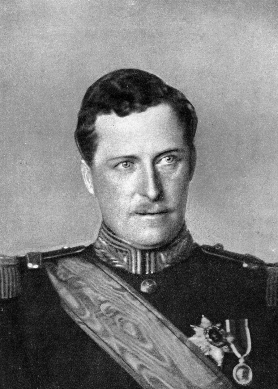ألبرت ، ملك بلجيكا ، الحرب العالمية الأولى ، 1914. بواسطة وليام ودانيال داوني