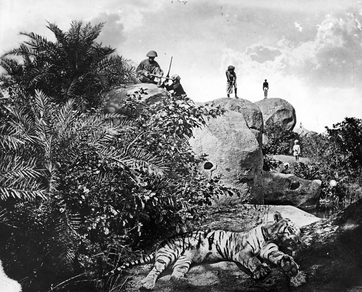 "معبأ" - صيد النمر في الهند ، حوالي 1870 بواسطة ويلوبي والاس هوبر