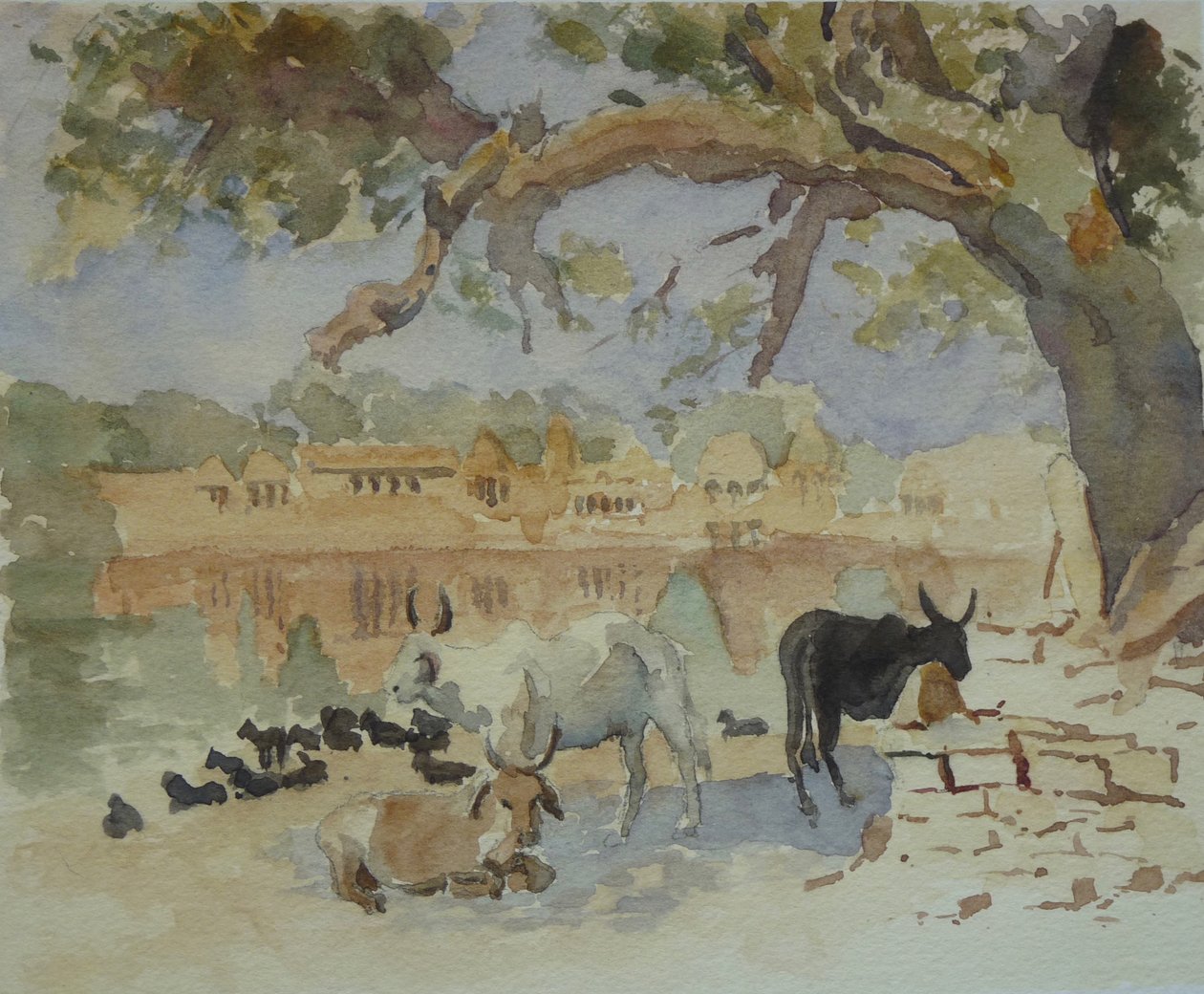 435A جايسالمر - غادي ساجار (رسم) بواسطة ويلسون كلايف