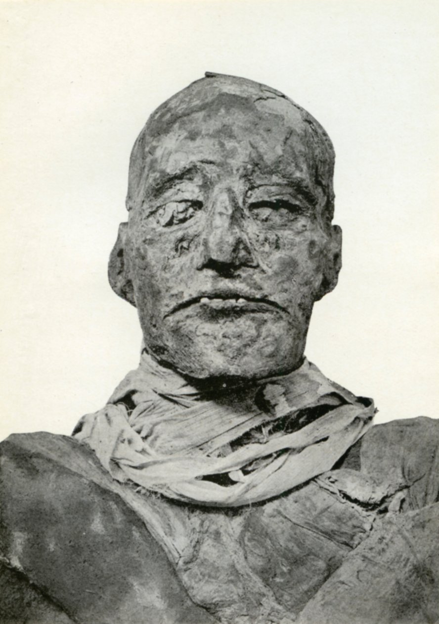 رأس مومياء رمسيس الثالث ، الفرعون المصري القديم من الأسرة العشرين ، c1156 قبل الميلاد 1926 بواسطة وينيفريد مابل برونتون