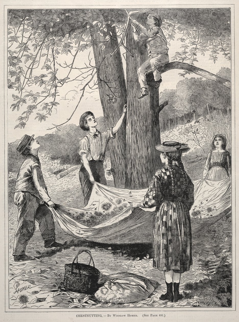 الكستناء 1870. بواسطة وينسلو هومر
