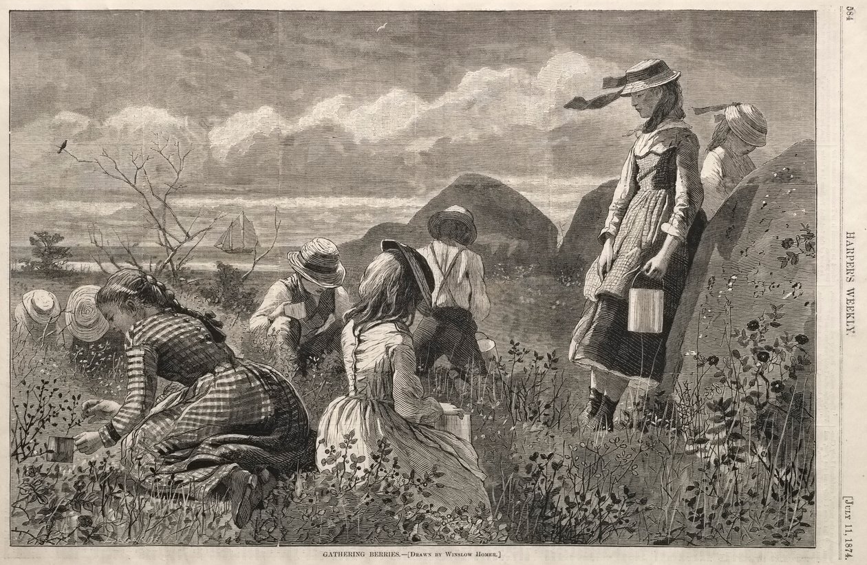 جمع التوت ، 1874. بواسطة وينسلو هومر