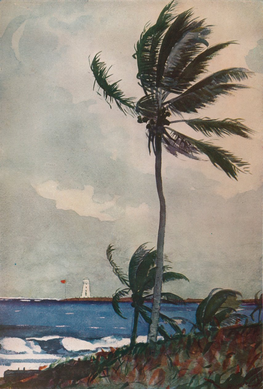أشجار النخيل ، ناسو ، 1898 ، 1932 بواسطة وينسلو هومر