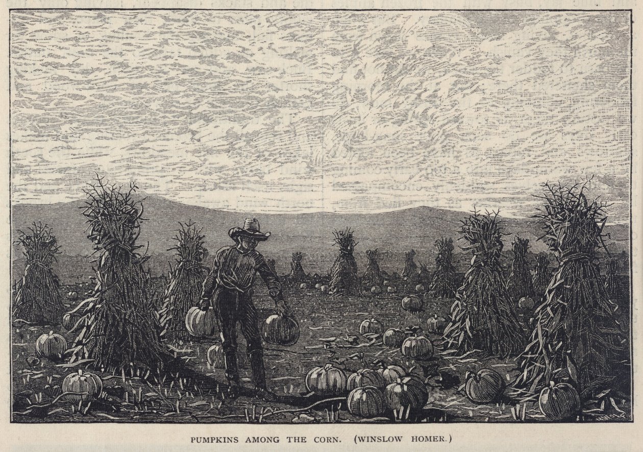 اليقطين بين الذرة، من مجلة سكريبنر الشهرية، مجلة مصورة للناس، أغسطس 1878 بواسطة وينسلو هومر