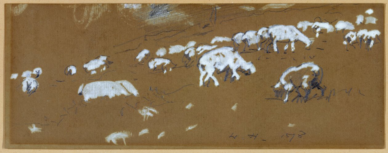 خروف ، 1878 (جرافيت وغواش أبيض على ورق) بواسطة وينسلو هومر