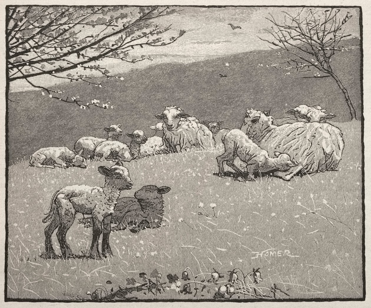 خروف الربيع ، 1880. بواسطة وينسلو هومر
