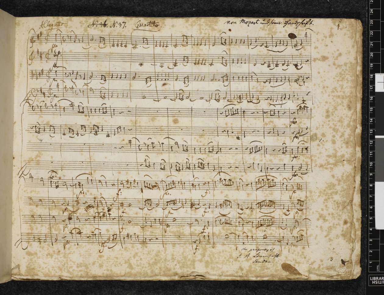 أضف MS 37764 f.1 String quartet in D major، K. 499 بواسطة فولفغانغ أماديوس موزارت