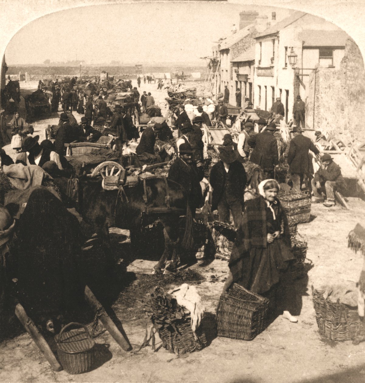 بيع موظفي الحياة الإيرلنديين ، سوق بوتاتو ، غالواي ، أيرلندا ، 1901. بواسطة الأشغال واستوديوهات نحت الشمس