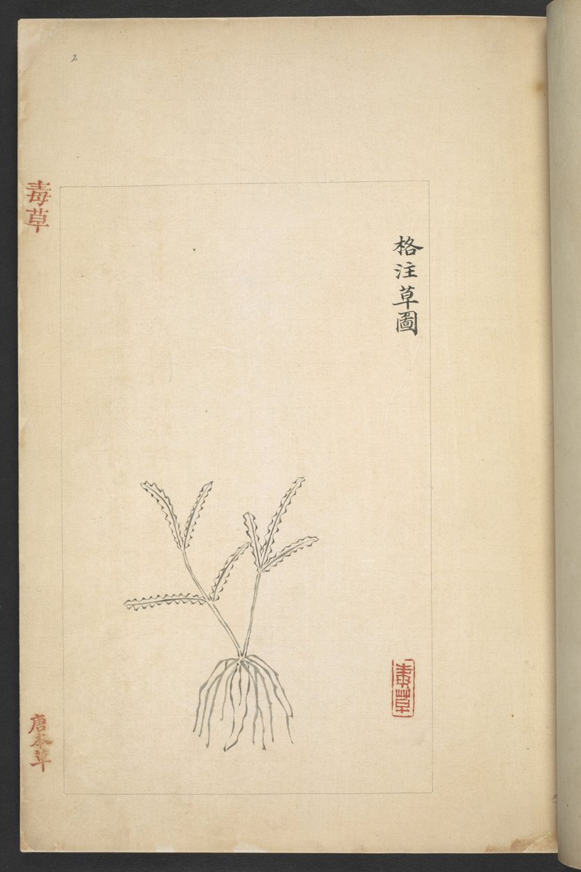 Or 13347 B f.2r Plan from 