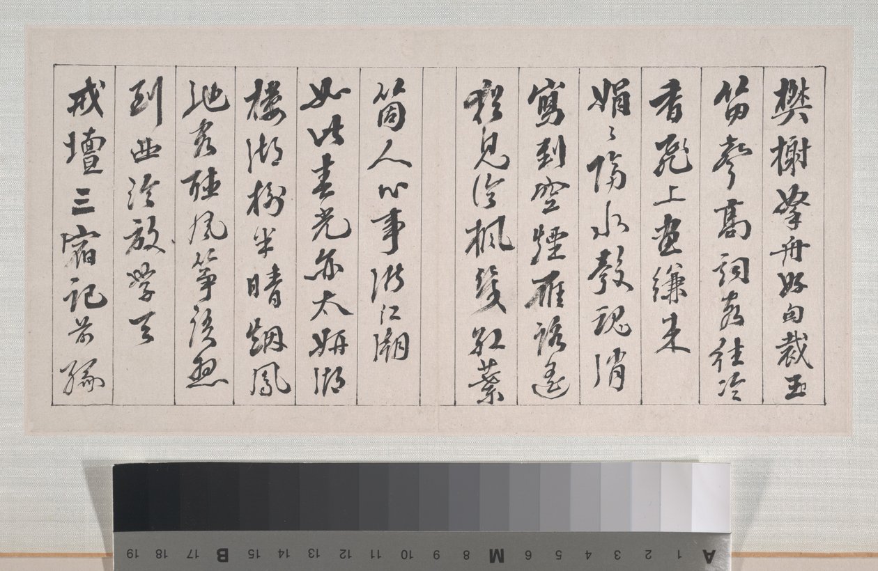  بواسطة شي داي