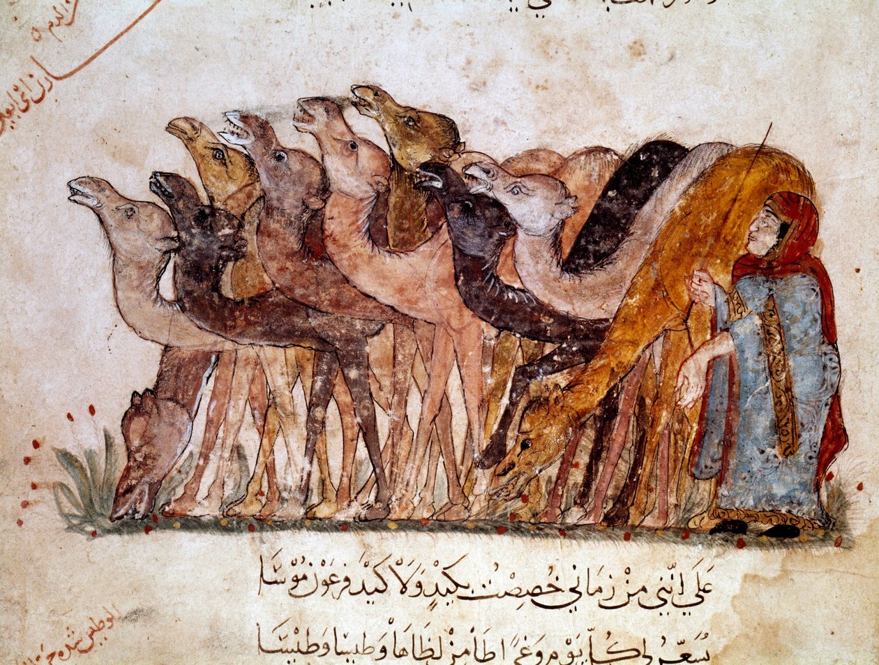 مجموعة من الإبل والإبل كرفان في الصحراء. صفحة "المقامات" ، قصيدة بيكارسك من القرن الحادي عشر للشاعر العربي أبو محمد القاسم بن علي الحريري (أو الحريري أو الحريري) (1054-1122) رسمها الواسطي (آل. -واسيتي) بواسطة يحيى بن محمود الواسطي